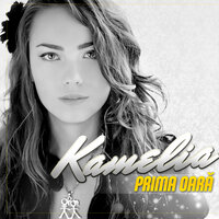 I Don't Care - Kamelia