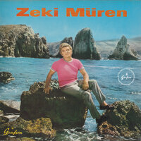 Rüzgar Kırdı Dalımı - Zeki Müren