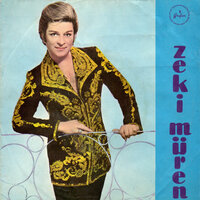 Irafa Fincan Koydum - Zeki Müren
