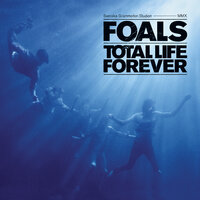 Spanish Sahara - Foals