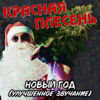 Я упал на диван - Красная плесень