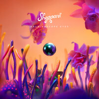 Die Young - Sheppard