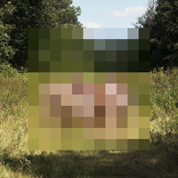 Goodness, Pt. 2 - The Hotelier