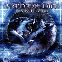 Coexistence Circle - Catamenia