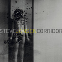 Steve Jansen