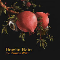 Phantom In The Valley - Howlin' Rain