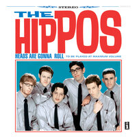 Lost It - The Hippos