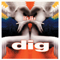 Situation - Dig