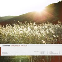 Tangled; Content - Luca Brasi