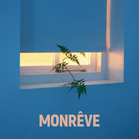 Vine - NXN
