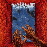 Fevers of Torment - Witch Vomit