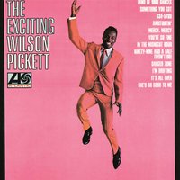 I Found the One - Wilson Pickett Jr.