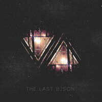 Bad Country - The Last Bison