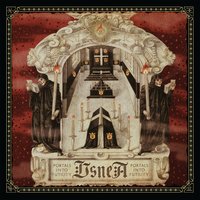 Usnea
