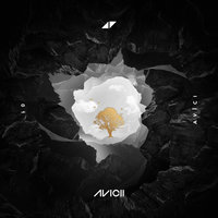 Lonely Together - Avicii, Rita Ora