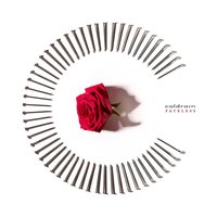 COLORBLIND - coldrain