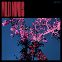 Swim - Mild Minds