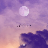 Energy - Zach Diamond