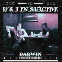Nobody - Darwin