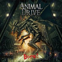 Carry On - Animal Drive