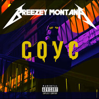 Про - Breezey Montana