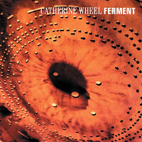 Flower To Hide - Catherine Wheel