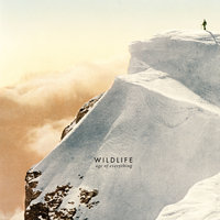 Minotaur - Wildlife