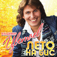 Полуночник - Владимир Цветаев