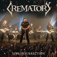 Fly - Crematory