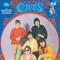 I Like The Way - The Cats