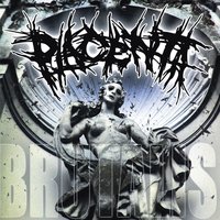 Brute Willis - Placenta