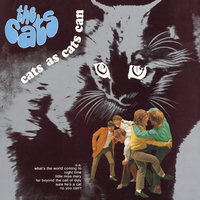 Hopeless Try - The Cats