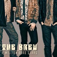Mav the Rave - The Brew
