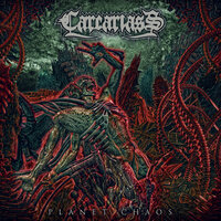 Star Implosion - CARCARIASS