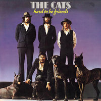 I've Fallen For A Fallen Angel - The Cats