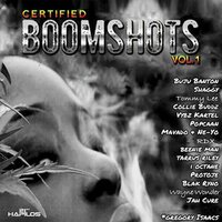 Too Watchy - Collie Buddz