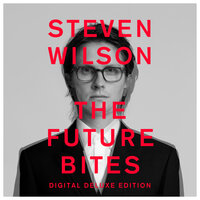 EVERY KINGDOM FALLS - Steven Wilson