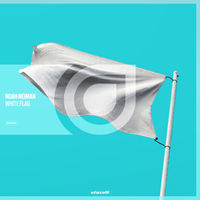 White Flag - Noah Neiman