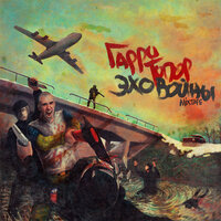 Эхо войны - Гарри Топор