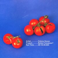 Natural - Colony House