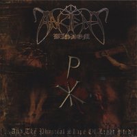 The Spell - Ancient Wisdom