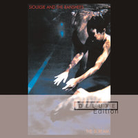 Carcass - Siouxsie And The Banshees