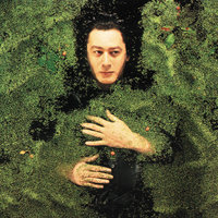 Au pavillon des lauriers - Alain Bashung