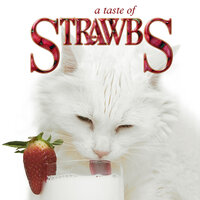 Goodbye - Strawbs