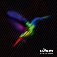 Candlelight - The Sherlocks