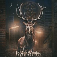 Empty Streets - In The Woods...
