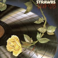 Simple Visions - Strawbs