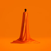 Figurine - WAYNE SNOW
