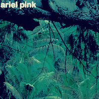 Mundane Stories - Ariel Pink