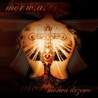 Zdrowe Zmysly - Mor W.A., Wigor Mor W.A., Łyskacz